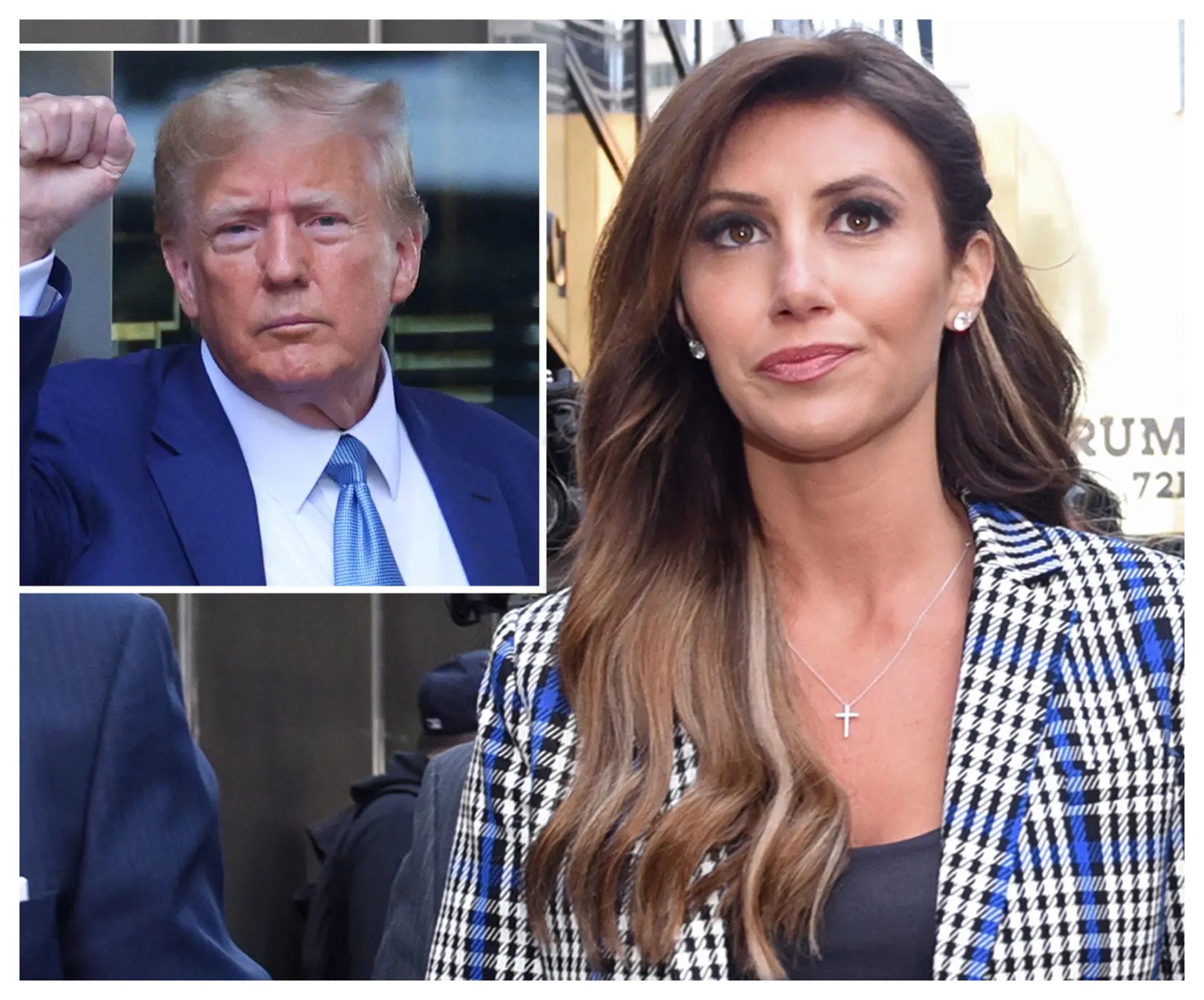 Alina Habba Education, Law School, Russian, Wedding, Car, Instagram