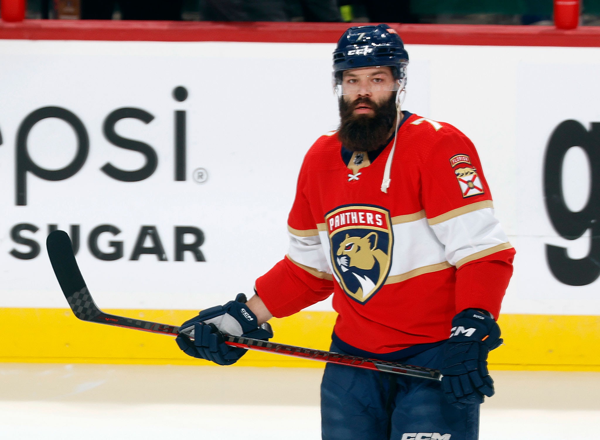 Karolina Gudasová: Who Is Radko Gudas’ Sister?