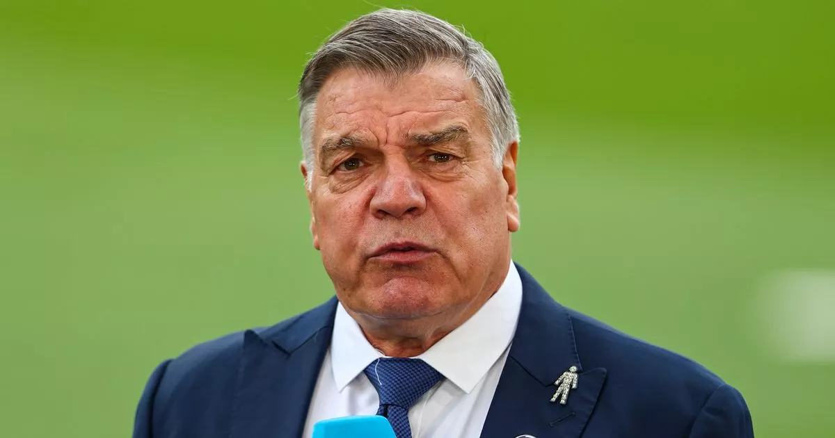 Who Took Over From Sam Allardyce?