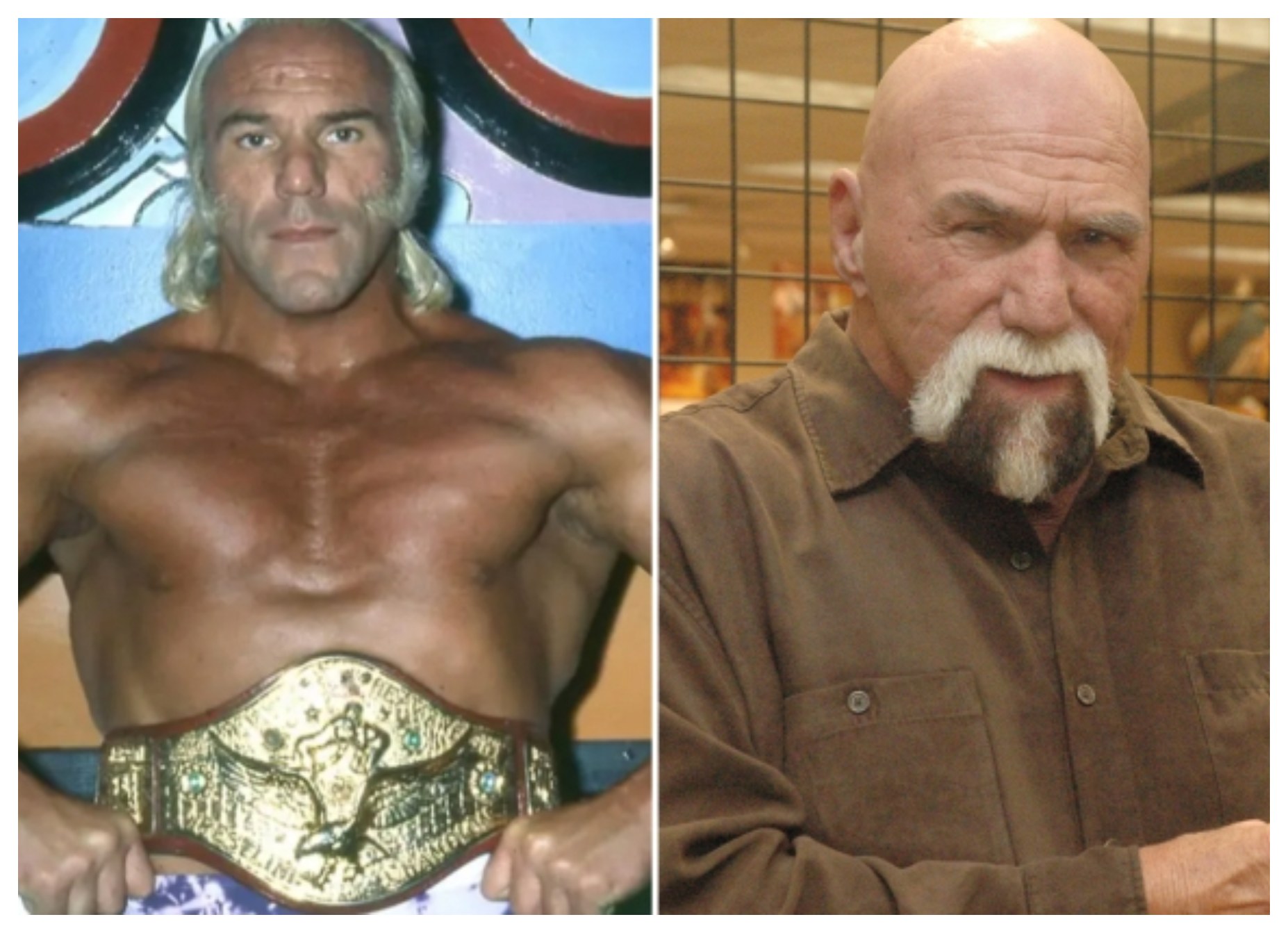 Superstar Billy Graham death: What did Superstar Billy Graham died of?