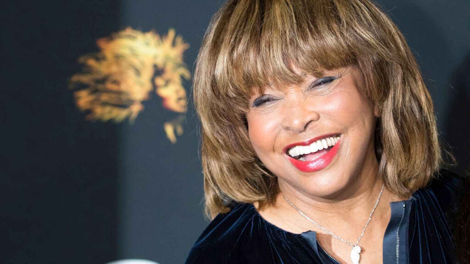 When Did Tina Turner Have A Stroke?