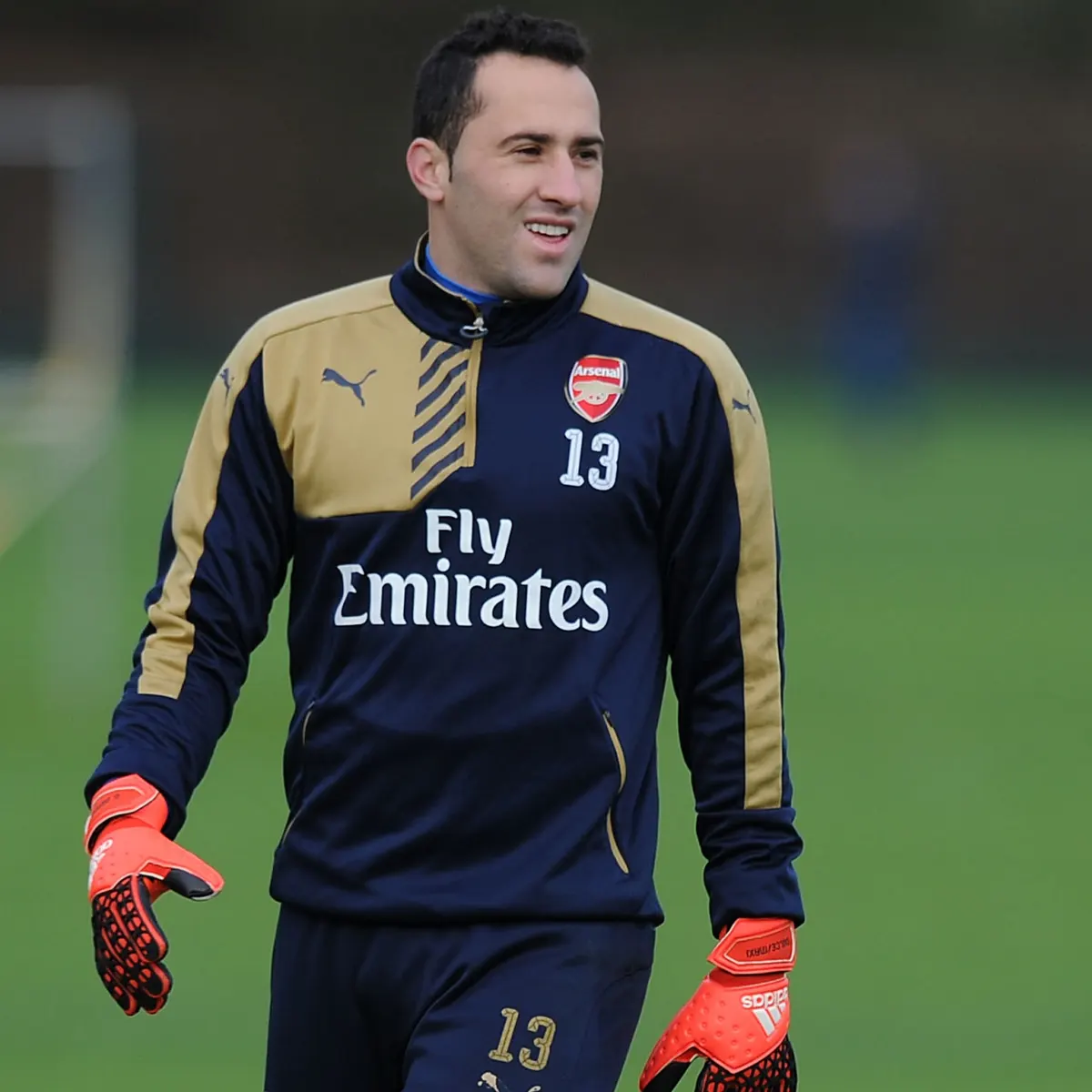 David Ospina Stats, Injury, FIFA 23 Rating, Current Team, Family
