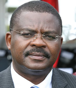 Micere Githae Mugo Brother: Who is Robinson Njeru Githae?
