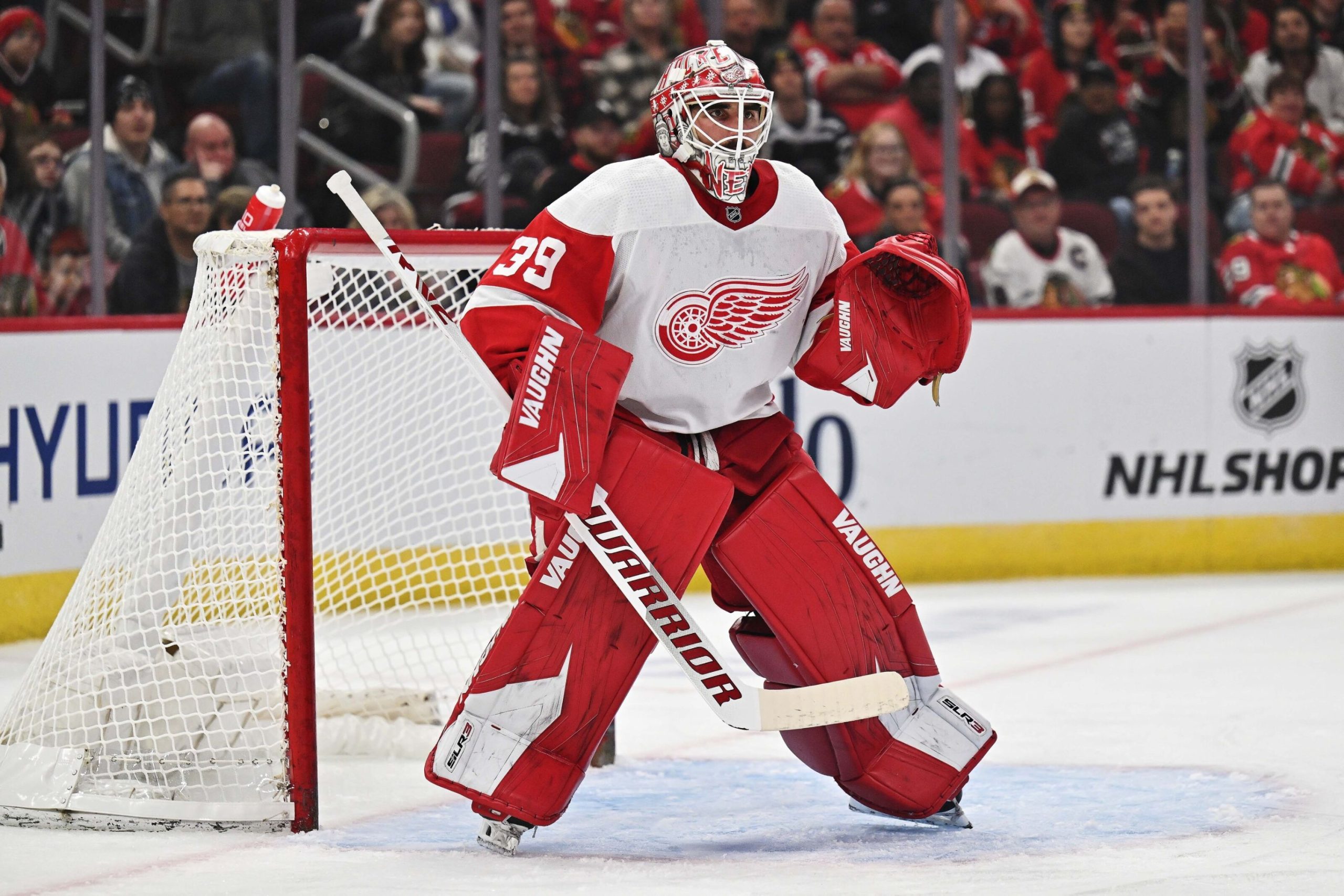 Alex Nedeljkovic height: How tall is Alex Nedeljkovic?