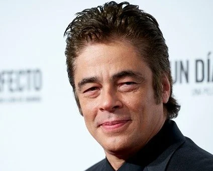 Benicio Del Toro Age, Height, Nationality, Movies and TV Shows, Education, Family