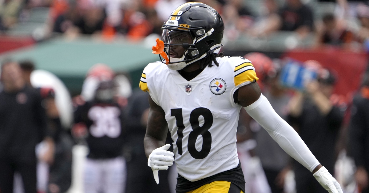 Is Diontae Johnson good for fantasy? Has Diontae Johnson scored a touchdown this year?