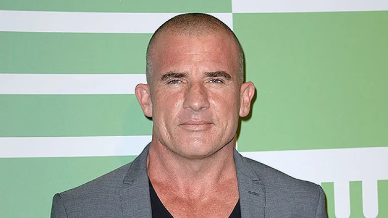 Dominic Purcell Age, Height, Nationality, Movies and tv shows