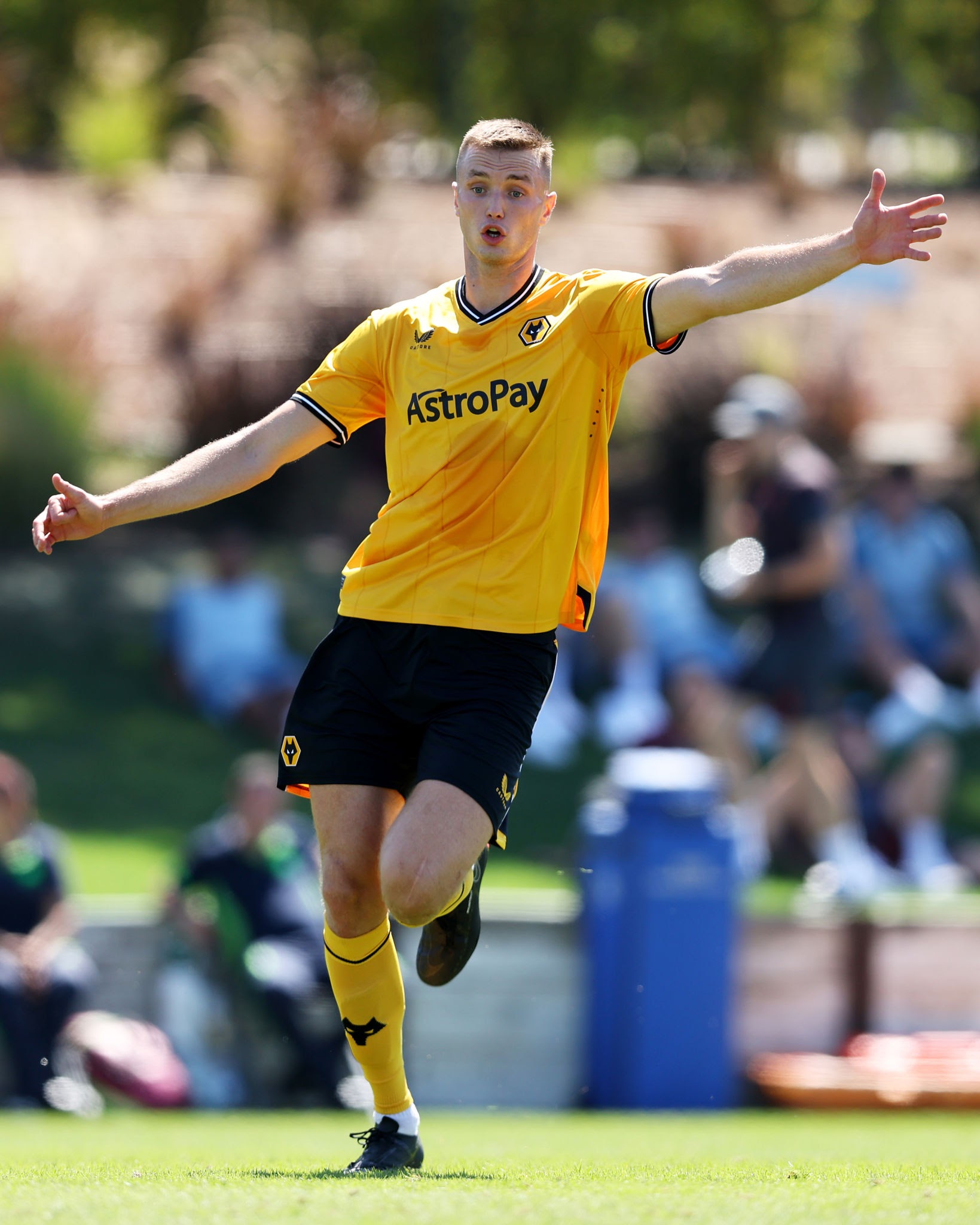 How good is Sasa Kalajdzic? What happened to Sasa Kalajdzic?