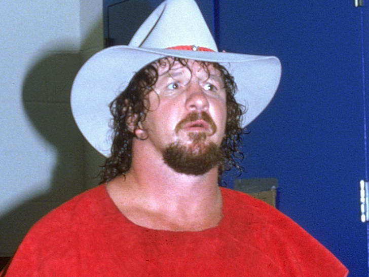 Was Terry Funk an NWA Champion? How long was Terry Funk NWA Champion? When did Terry Funk retire?