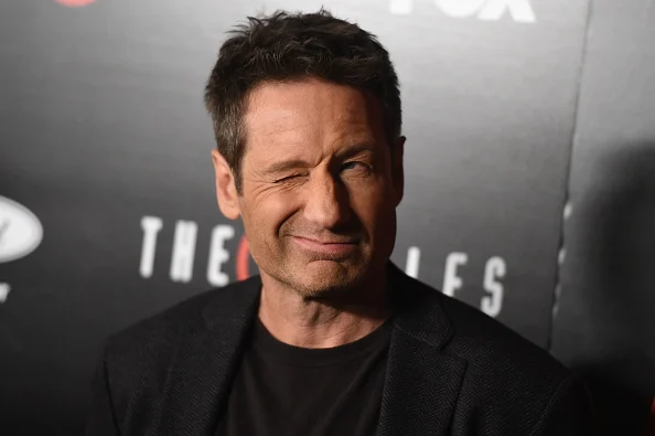 David Duchovny Age, Height, Movies and tv shows, Now