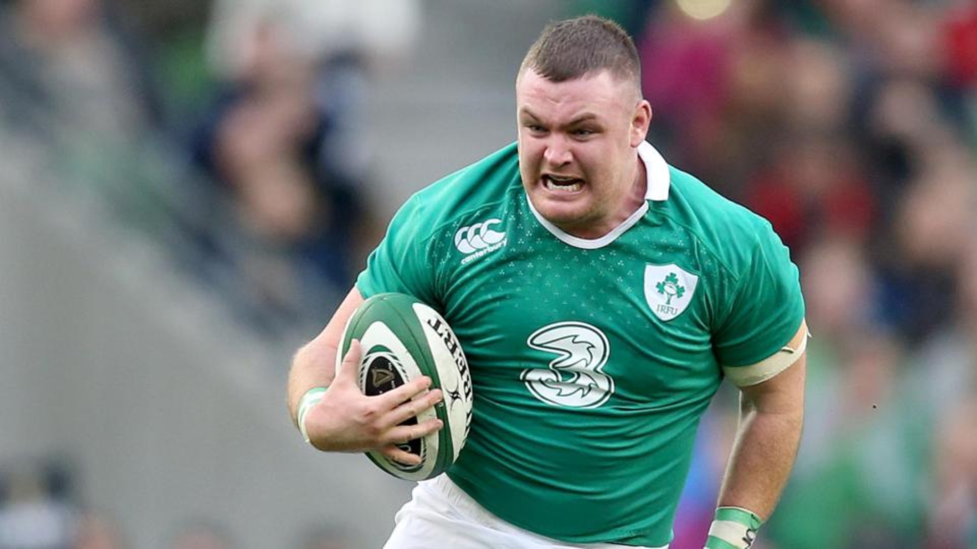 Dave Kilcoyne Girlfriend: Is Dave Kilcoyne In A Relationship?