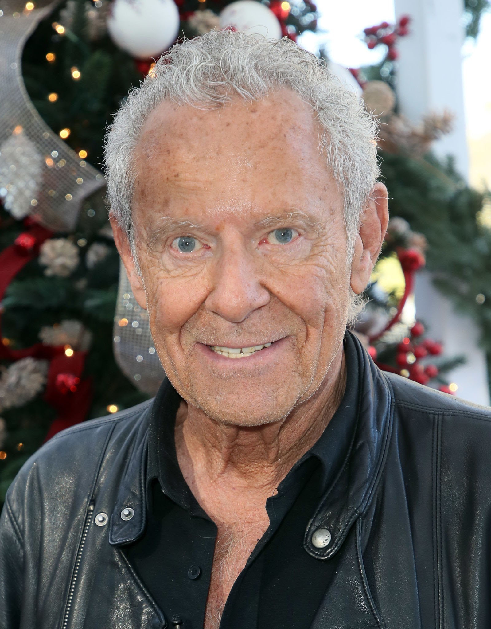 What is Alan Hamel famous for? What game show did Alan Hamel host?