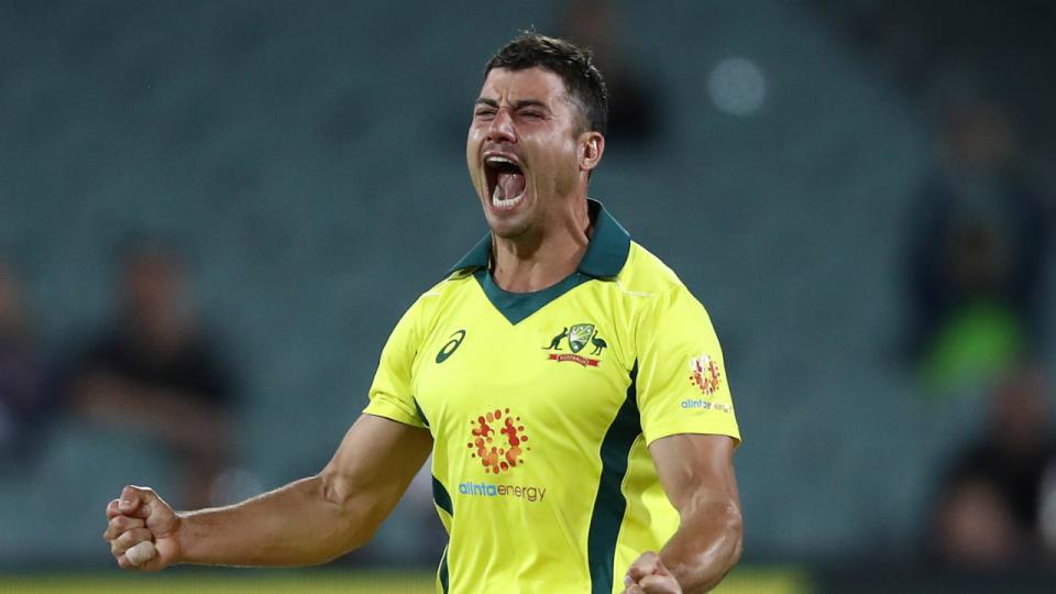 Are Zampa and Stoinis friends? Is Zampa and Stoinis in love?