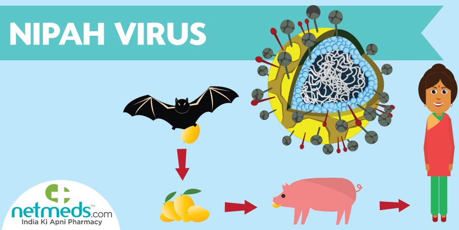 Is Nipah curable? Can you survive Nipah?