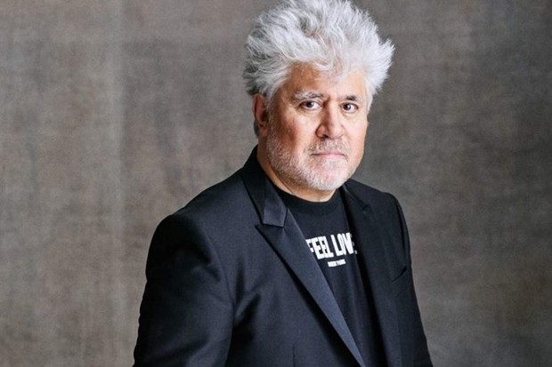 Why is Pedro Almodóvar important?