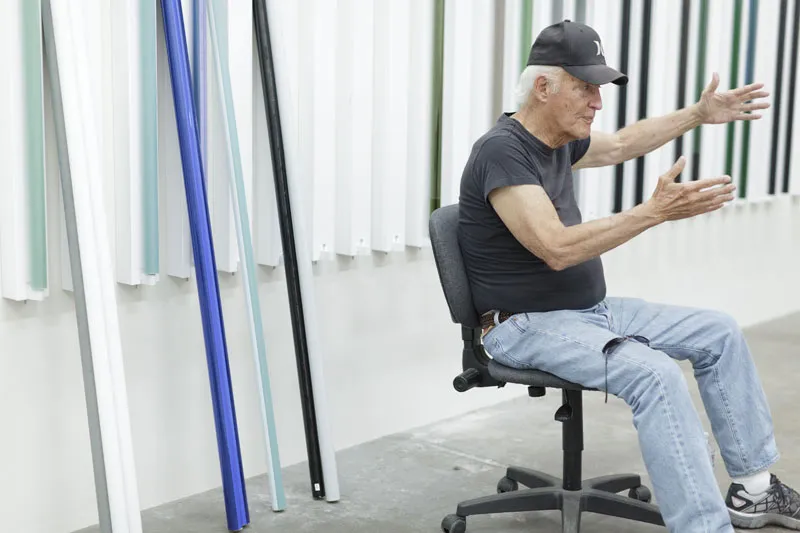 What is the artist Robert Irwin known for?