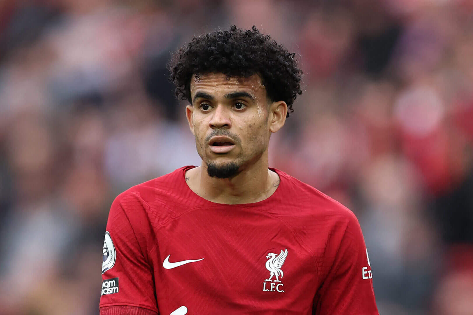 Arne Slot Confirms Luis Diaz’s Future At Liverpool