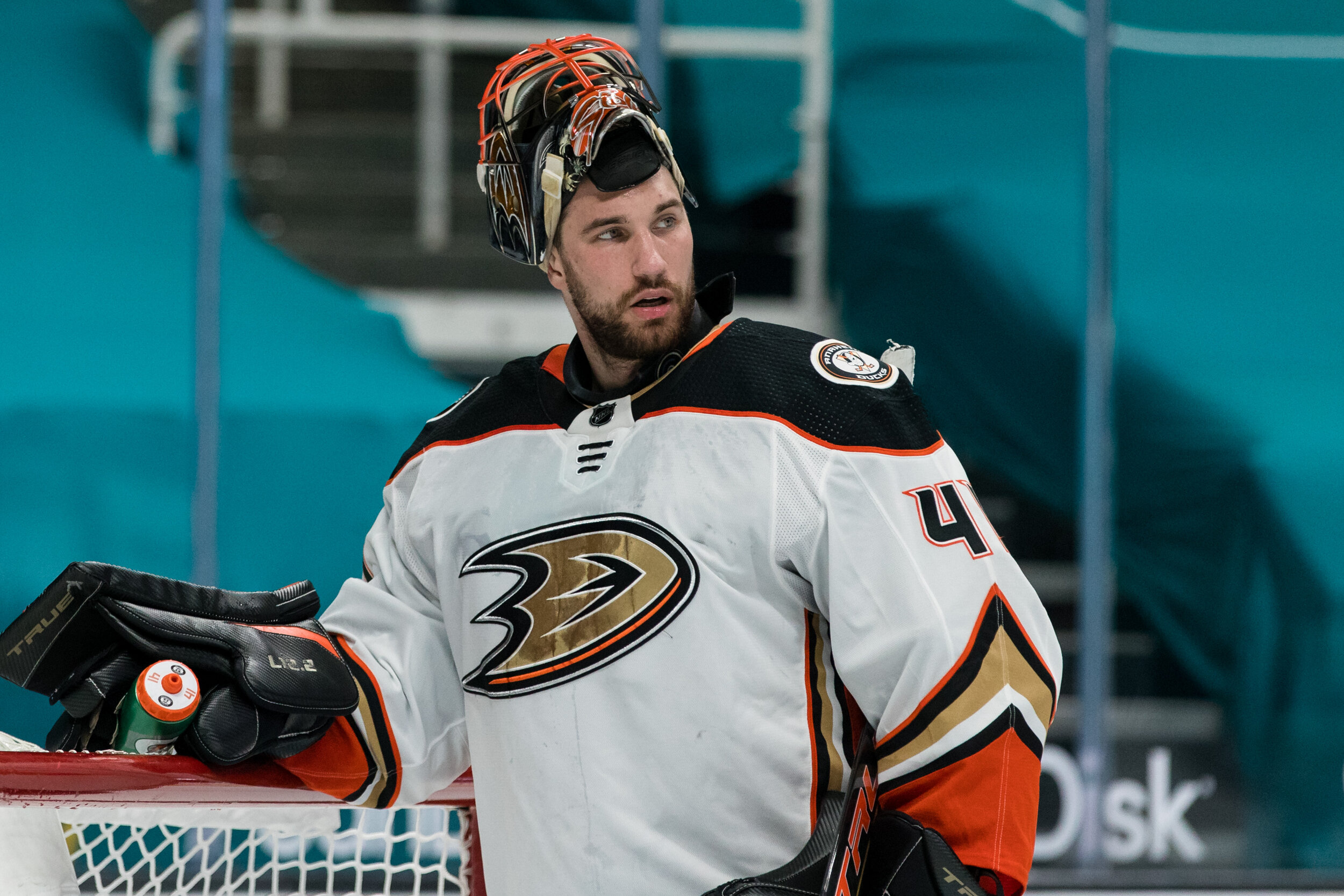 Anthony Stolarz Stats, Contract, Trade, Injury, Salary, Instagram
