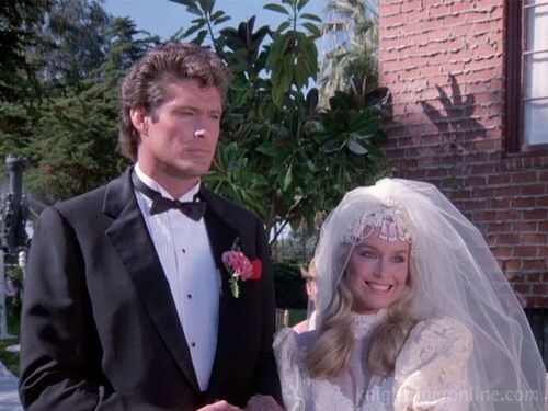 David Hasselhoff First Wife: Who is Catherine Hickland?