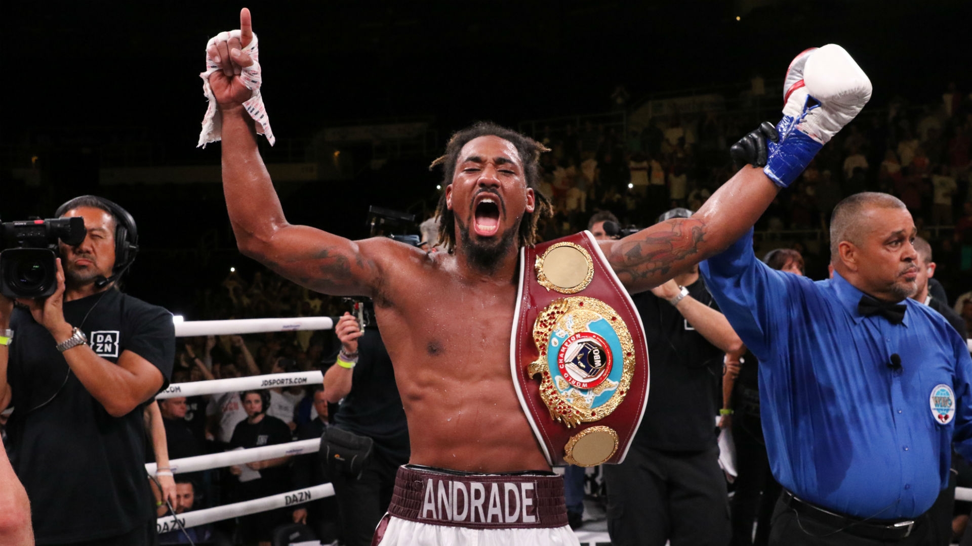 Demetrius Andrade ethnicity: What is Demetrius Andrade ethnicity?