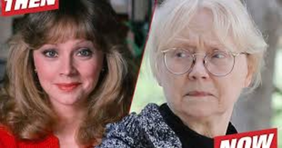 Why did Shelly Long leave Cheers? What did Shelley Long do after Cheers?