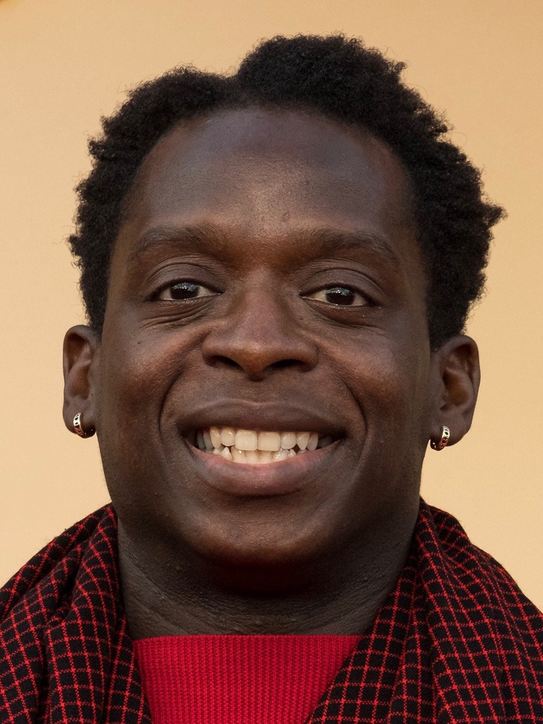 Kobna Holdbrook-Smith Movies and TV Shows, Audiobooks, Voice Actor, Partner