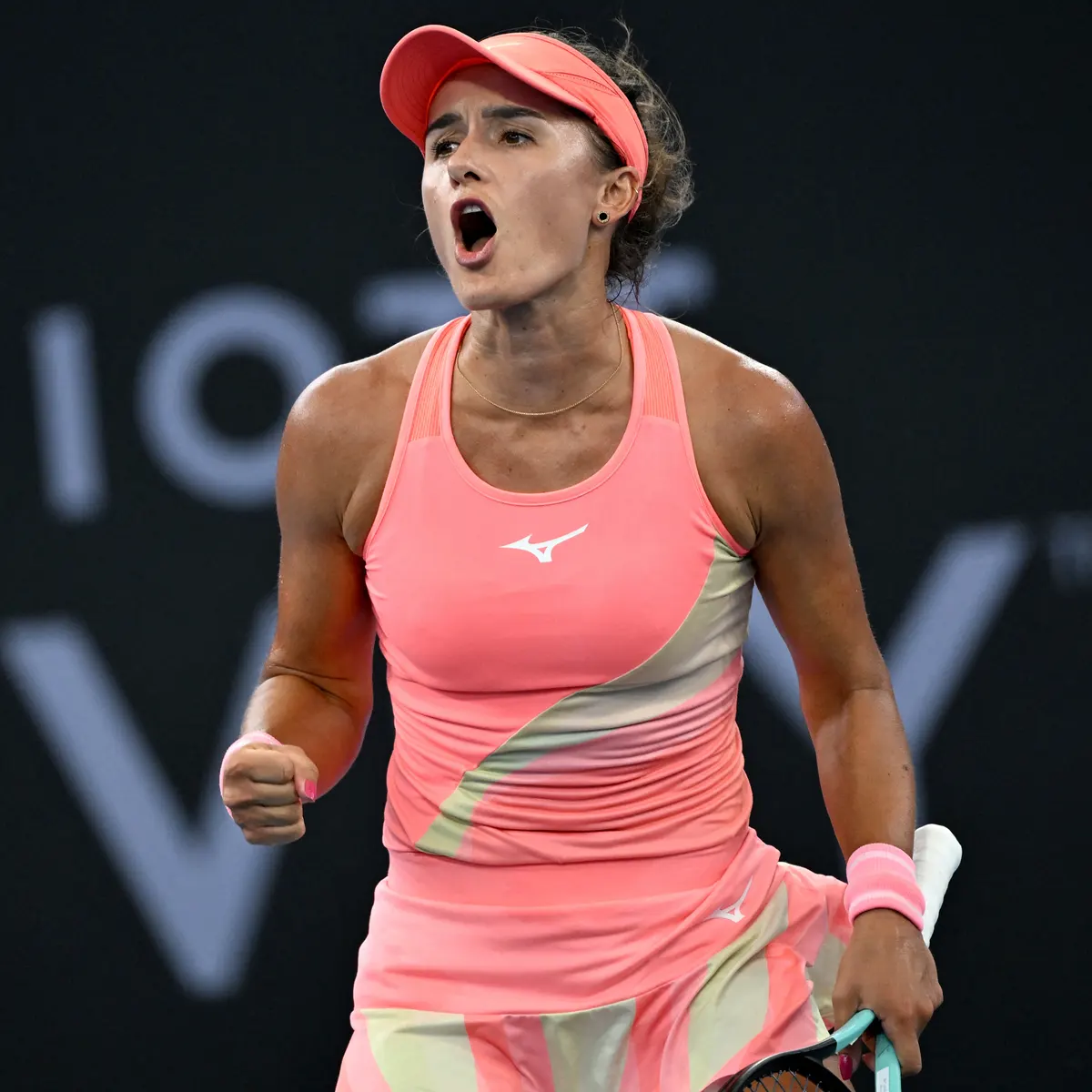 Arina Rodionova husband: Who is Ty Vickery?