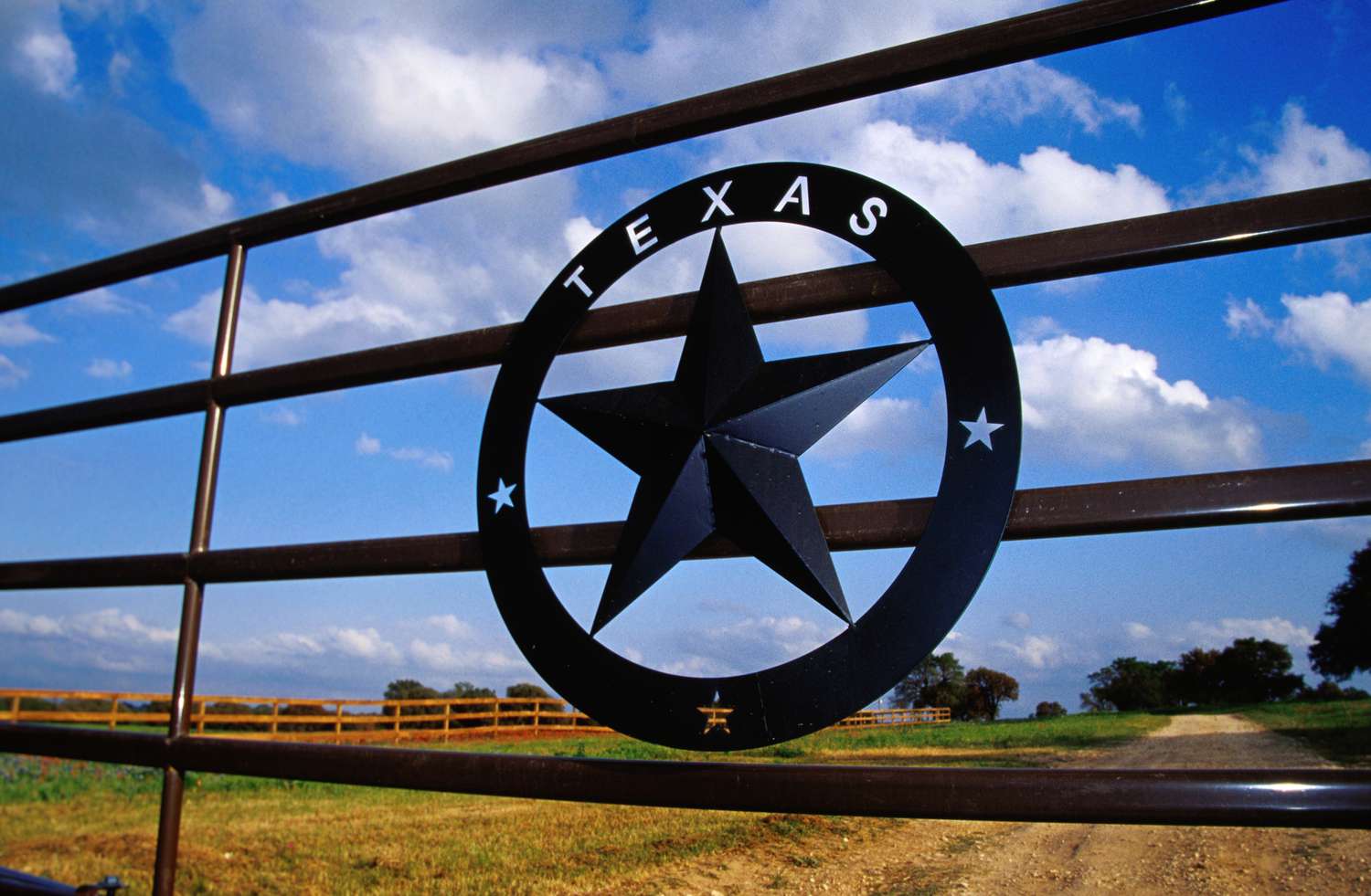 Does Texas have a caucus?