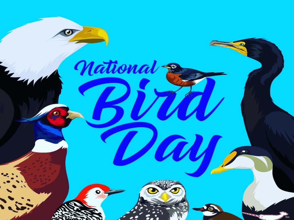 What is the history of the national bird day?