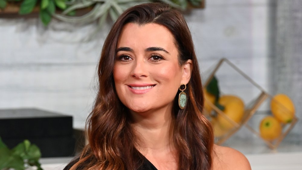Cote de Pablo Real Name, Age, Movies and tv shows, Instagram, Now