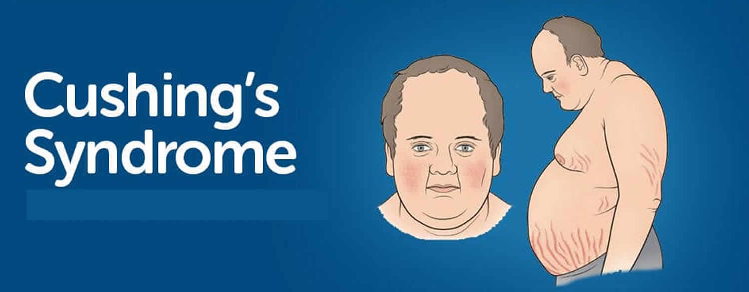 What organ causes Cushing disease?