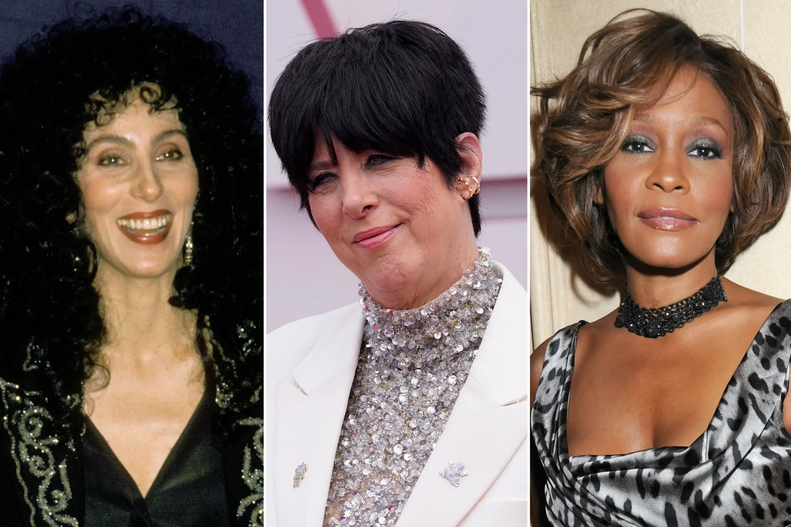 Did Diane Warren write a song for Whitney Houston?