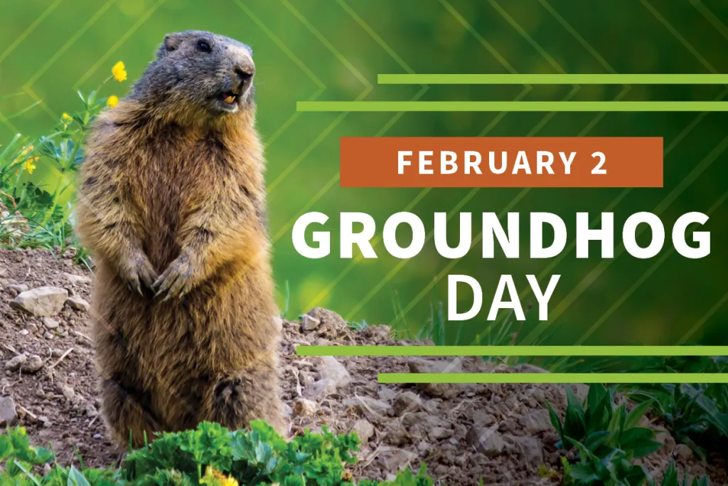 What is Groundhog Day example? How long is Groundhog Day stuck?