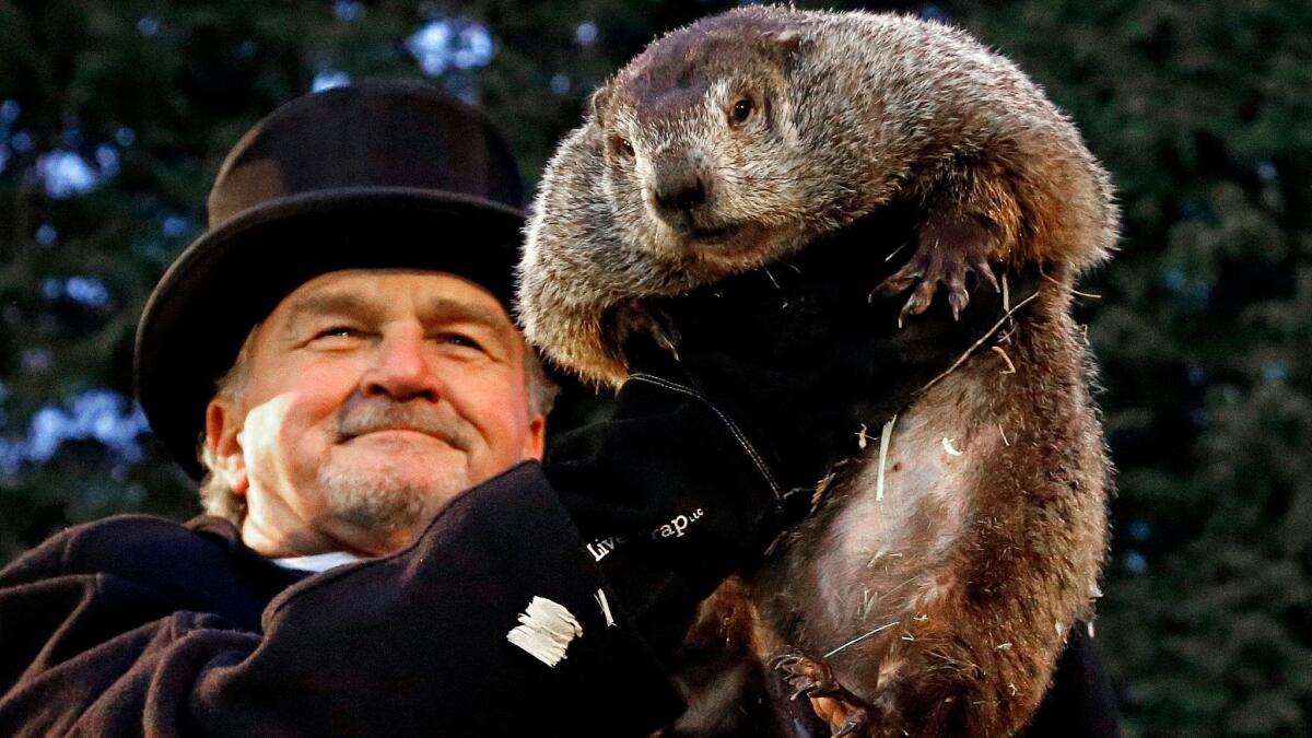What time is groundhog? Can anyone go to Groundhog Day?