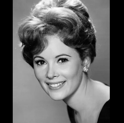 Jill St. Johnson: Who is Robert Wagner’s current wife?