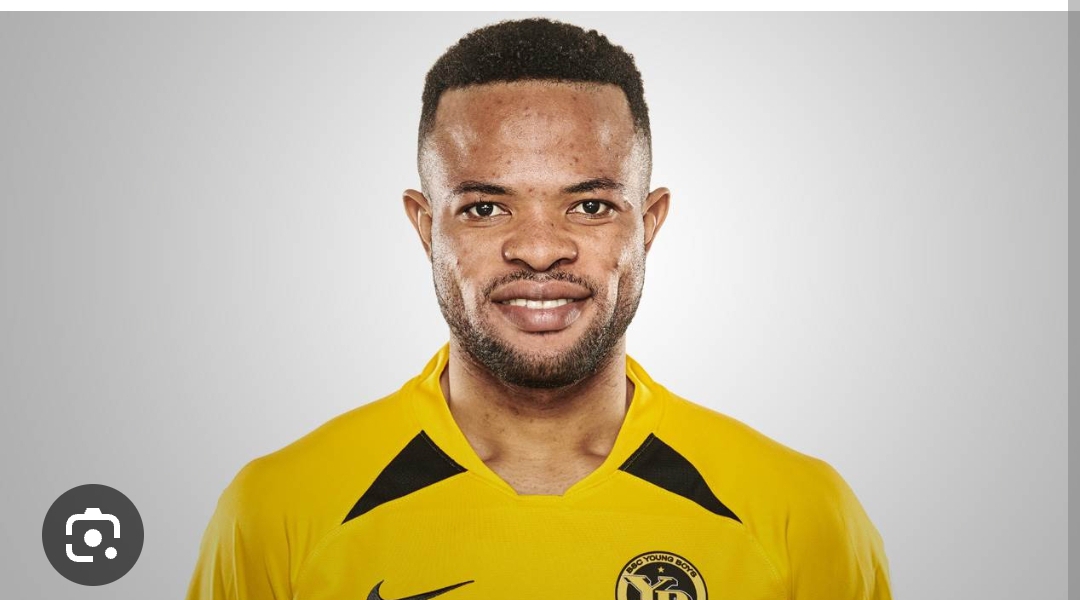 Meschack Elia Age, Height, Number, FIFA 23, Stats