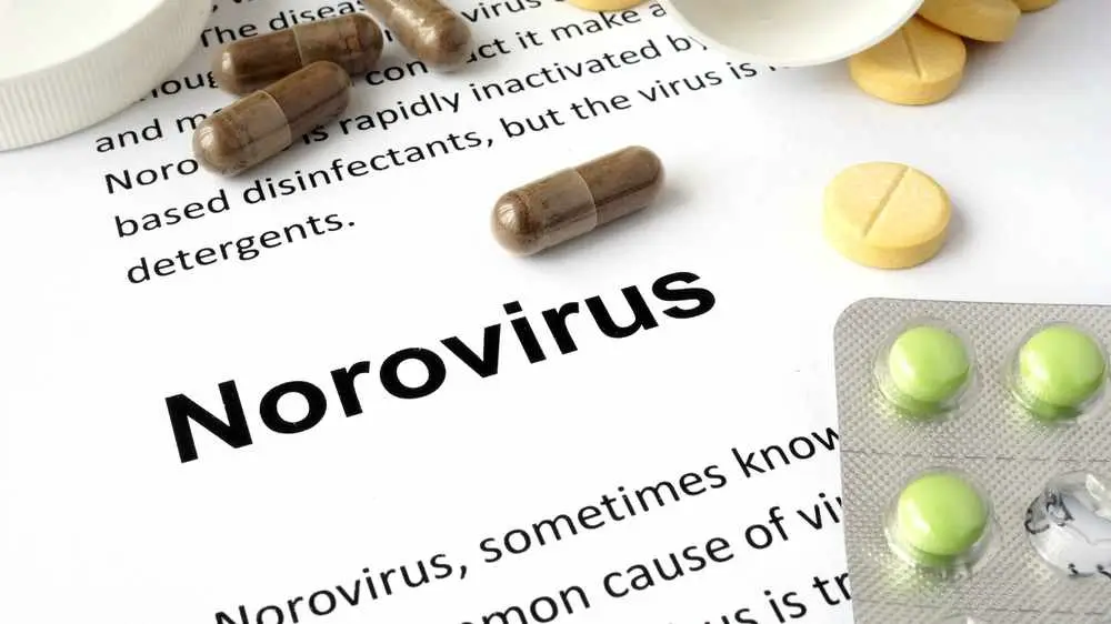 Why is it called norovirus? Where does norovirus hide?