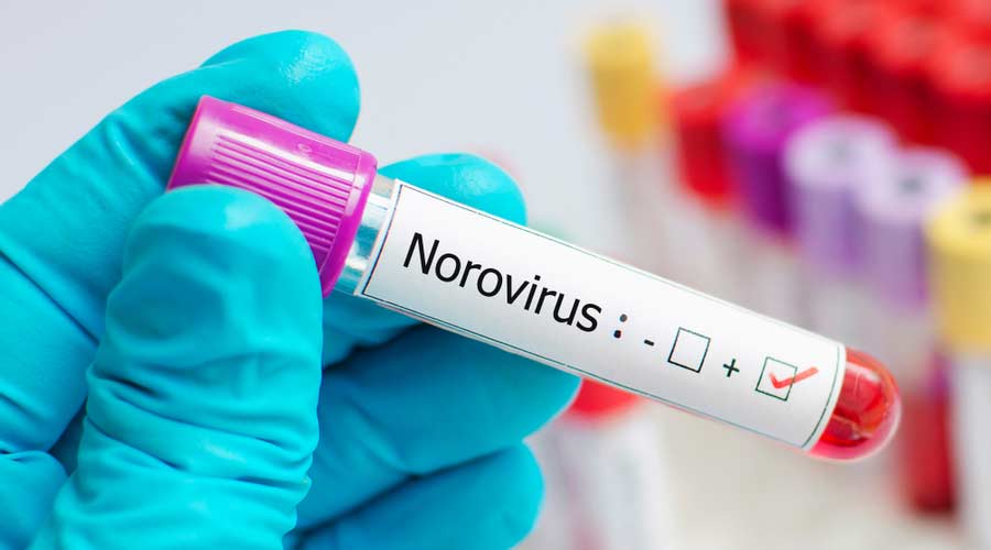 What spray kills norovirus?