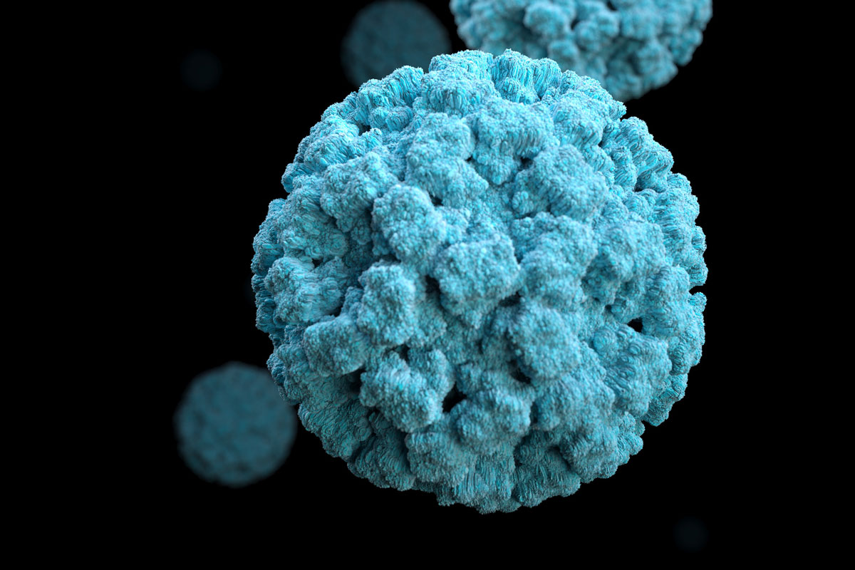 Why is norovirus worse at night?