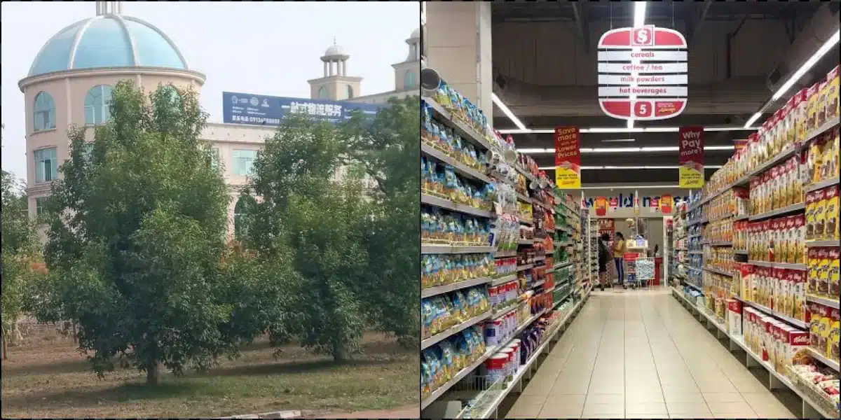 Federal Government Raids Chinese Supermarket for Discriminating Against Nigerians