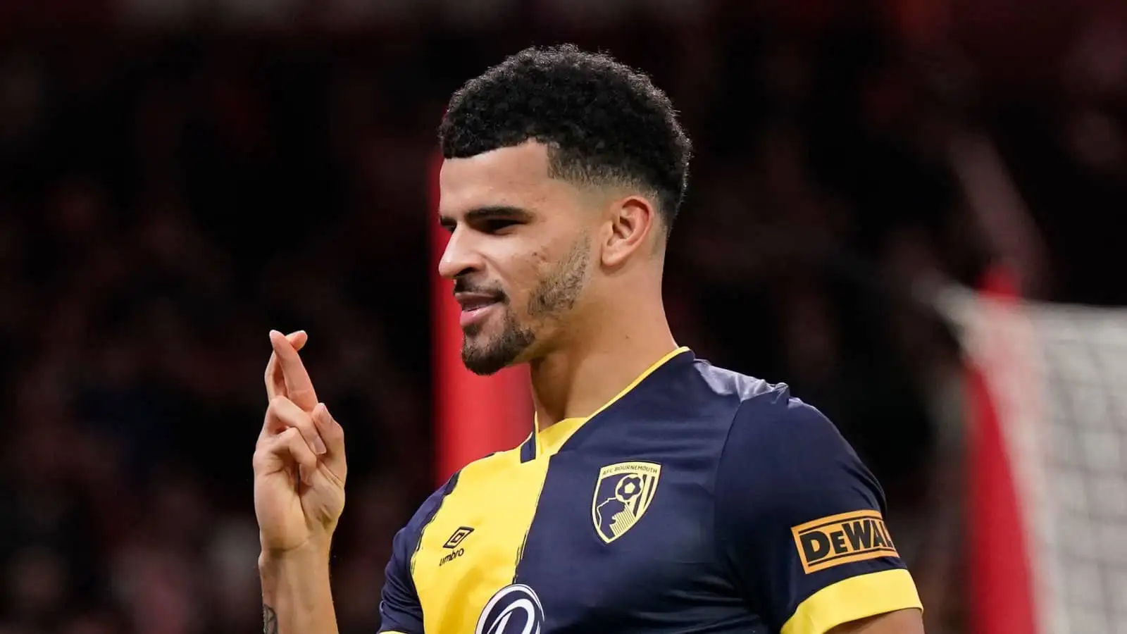 Dominic Solanke Transfer To Tottenham Taking Shape