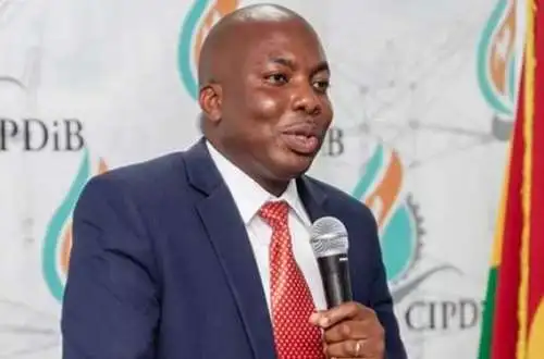 Privatization of ECG is not the solution – Dr Apetorgbor