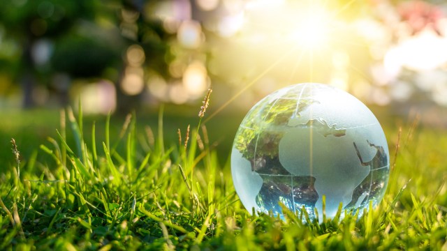 The History of Earth Day, Its Significance and How it is Celebrated