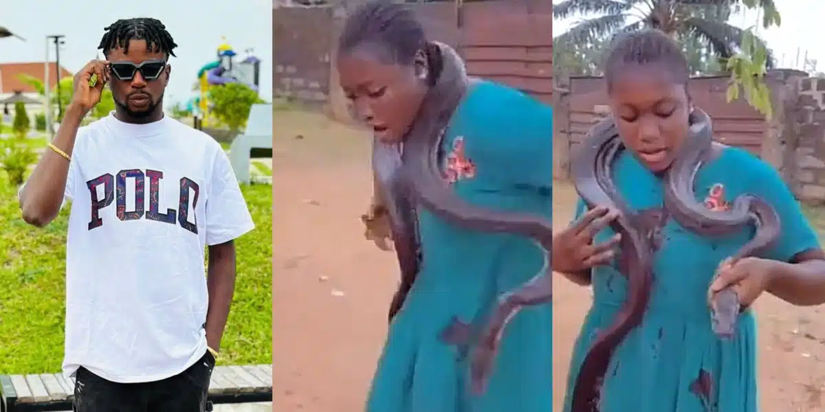 Stanley Ontop Criticizes Nollywood Producers for using Live Snakes
