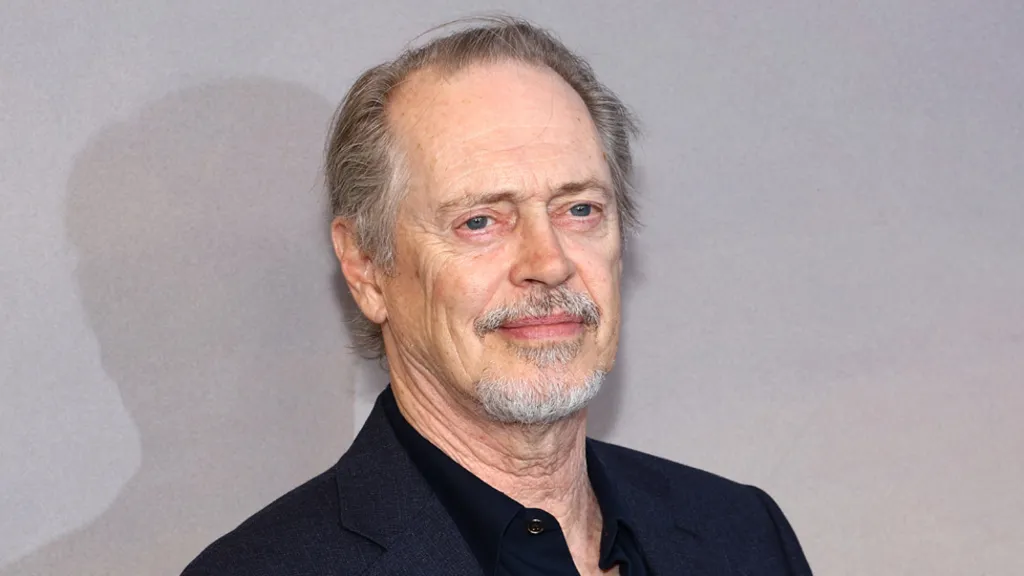 Steve Buscemi punched in Random NYC Attack