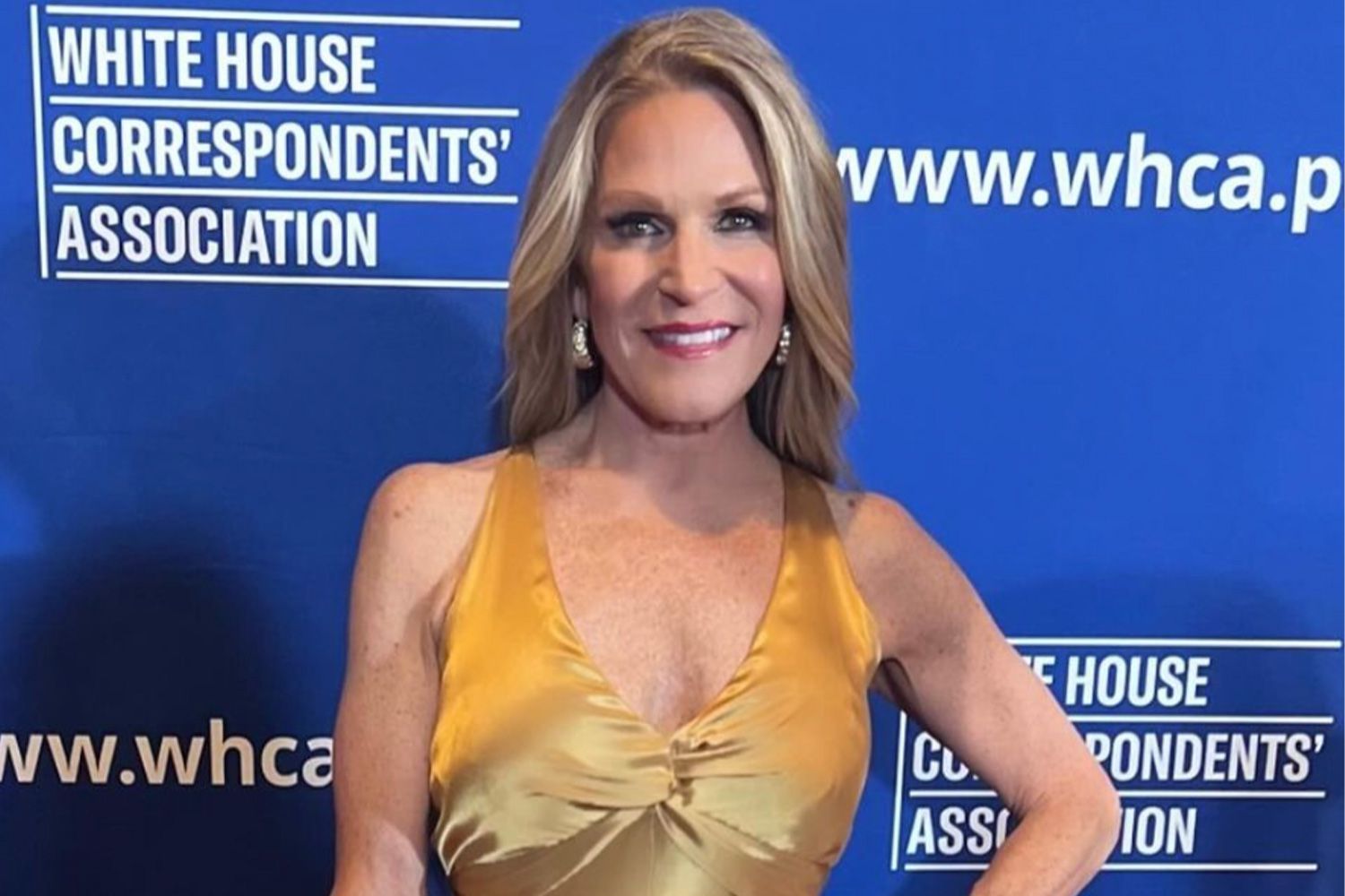 Who was Alice Stewart? All About the CNN political commentator and her cause of Death