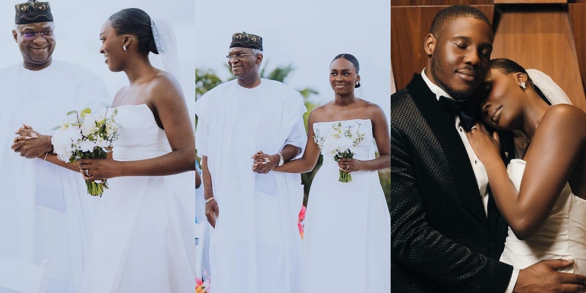 Babatunde Fashola’s Daughter, Yewande, Ties the Knot with Posi Ogunlesi