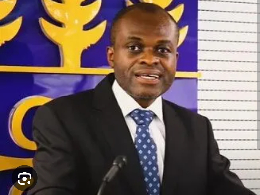 Kpebu Offers to Join Team Analyzing Cecilia Dapaah’s Case Files