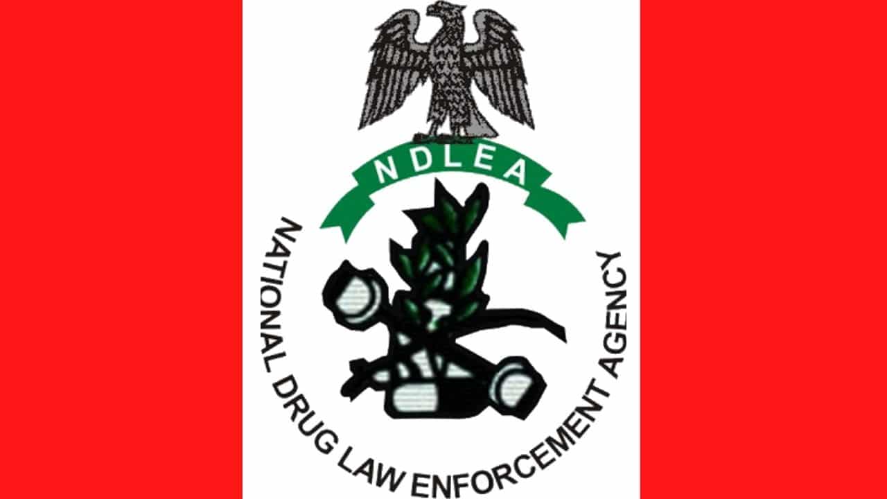 NDLEA Raids Drug Warehouse, Seizes ₦4.7 Billion Worth of Cocaine and Meth