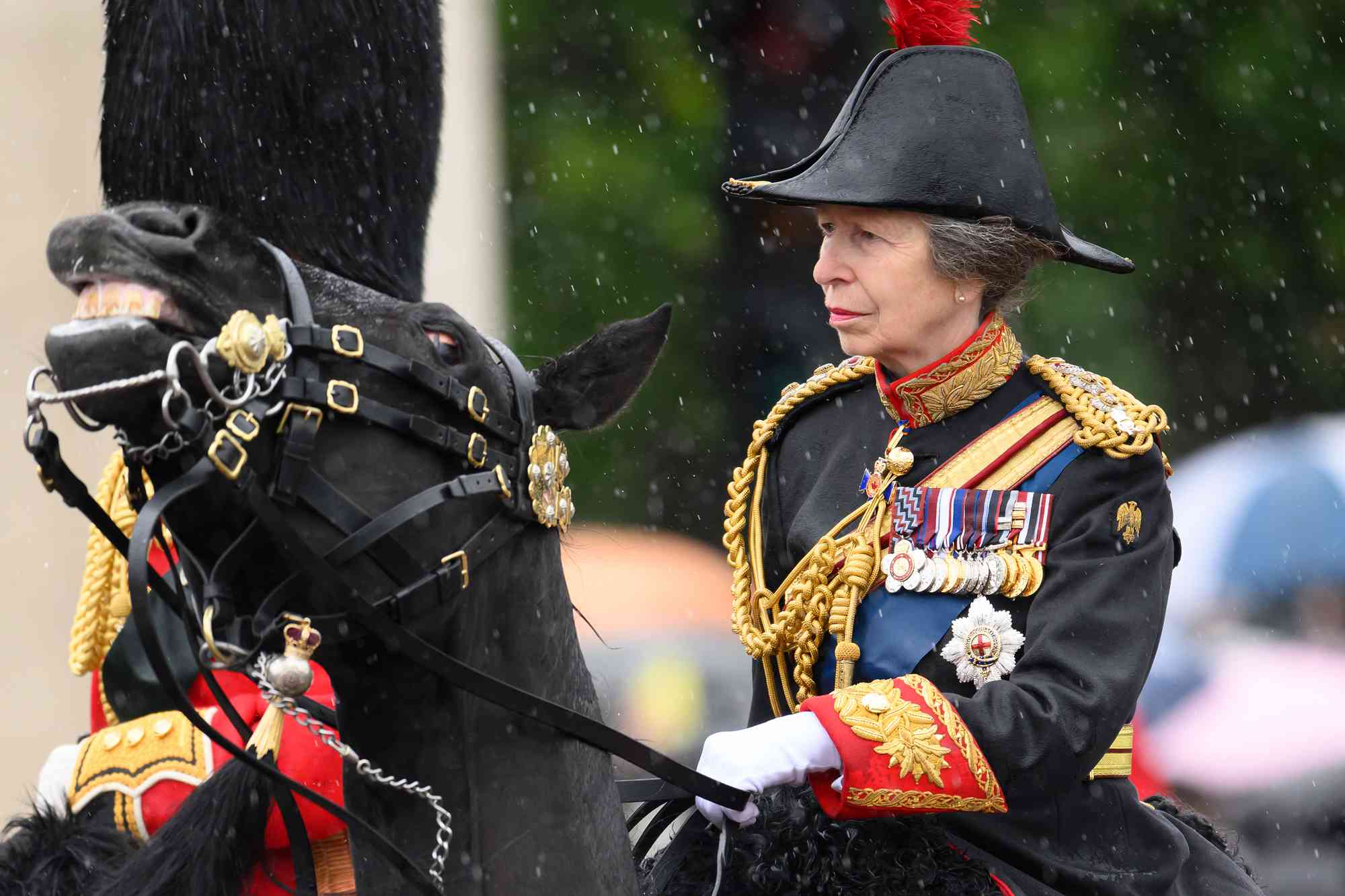 Princess Anne Sustains Minor Injuries in Incident at Her Residence, Hospitalized as Precaution